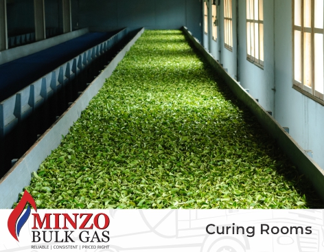 Minzo LP Gas - Curing Rooms